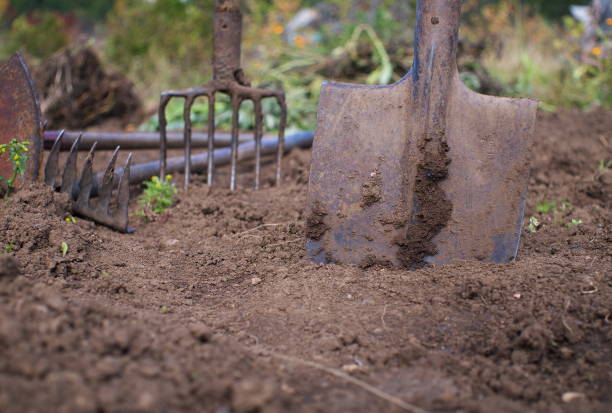 istock used shovel in front gardening tools, shallow depth of field 1021485782
