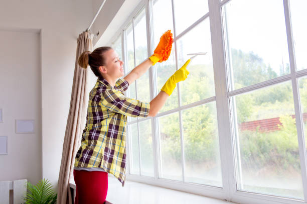 istock Woman in protective gloves is smiling and wiping dust using a spray and a duster 1021494758