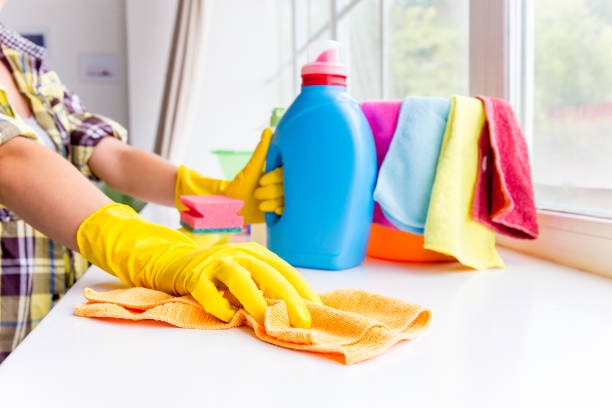 istock Woman in protective gloves is smiling and wiping dust using a spray and a duster 1021494828
