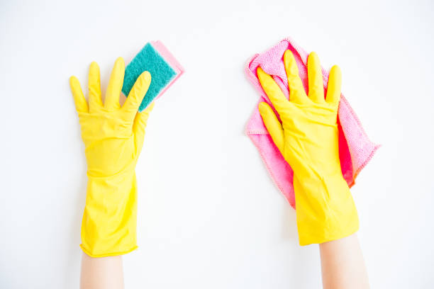 istock Woman in protective gloves is smiling and wiping dust using a spray and a duster 1021497350
