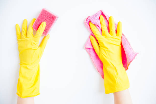 istock Woman in protective gloves is smiling and wiping dust using a spray and a duster 1021497368