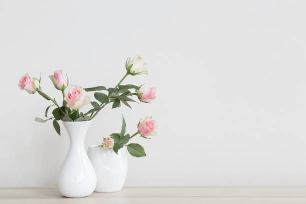 istock pink roses in vase on white background 1021497798