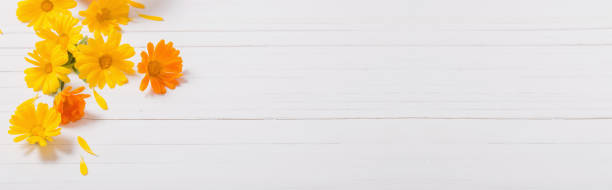 istock Calendula (Marigold) herbal tea  on white wooden table 1021497810