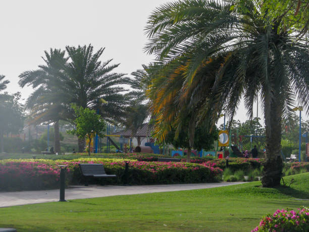istock Abu Dhabi city corniche park, UAE 1021500094