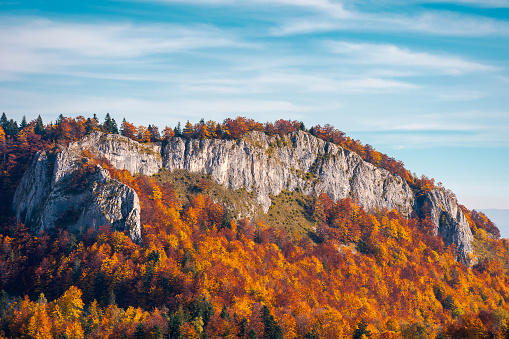 steep rocky cliff above the forest in reddish foliage. beautiful nature background