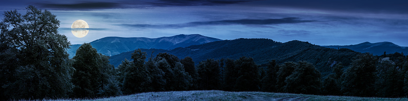 gorgeous mountain panorama in summer at night in full moon light. primeval beech forest around alpine meadow. distant ridge beneath the cloudy sky