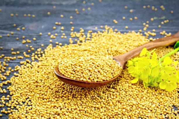 istock Mustard seeds in spoon with flower on black board 1021504994