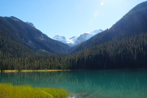 istock Lower Joffre Lake, Canada 1021507610