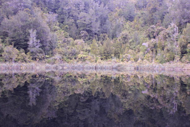 istock Lake Hanlon, New Zealand 1021521308