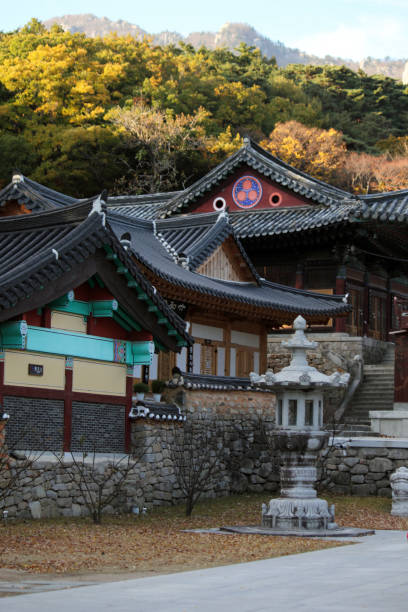istock Donghwasa Buddhist Temple 1021532370