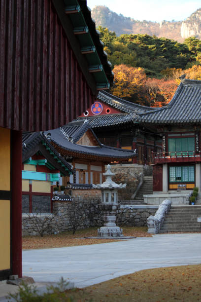 istock Donghwasa Buddhist Temple 1021532378