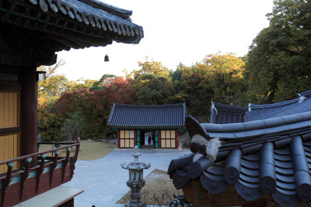 istock Donghwasa Buddhist Temple 1021532432