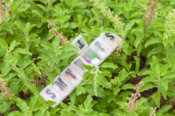 istock daily pill box on plant at farm 1021537360