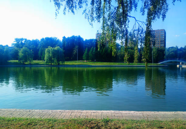 Park quay landscape background