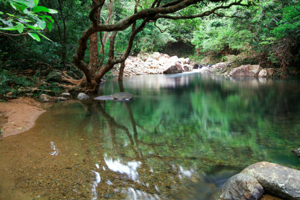 istock a Reservoir and forest at Shing Mun Reservoir 1021543620