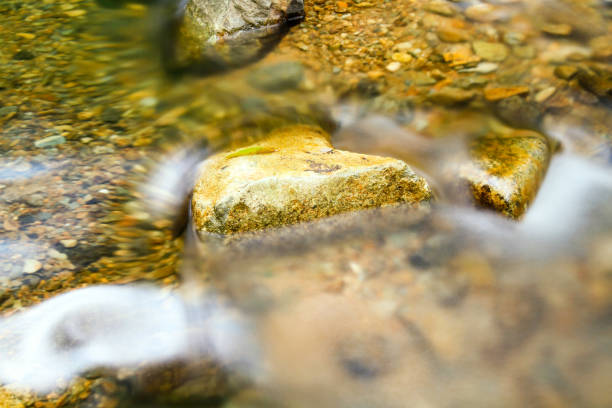 istock a Reservoir and forest at Shing Mun Reservoir 1021549206