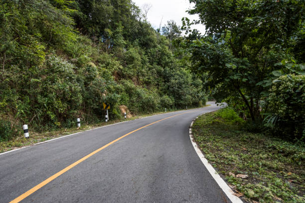 istock Country Road With Trees Beside 1021560436