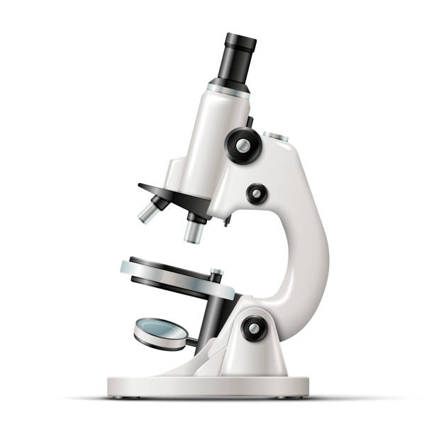 Realistic laboratory microscope isolated on white Vector realistic school laboratory microscope isolated on white background. laboratory technician icon stock illustrations