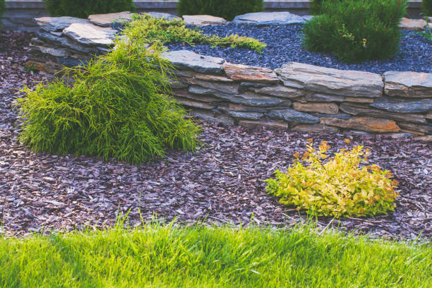 istock Garden lawn and bark in flowerbed. 1021571624