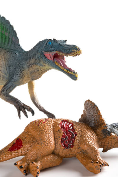 istock spinosaurus with a triceratops body nearby on white background vertical composition 1021580194