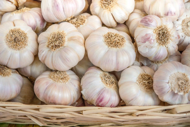 Stacked Garlic For Sale - Close-up stock photo