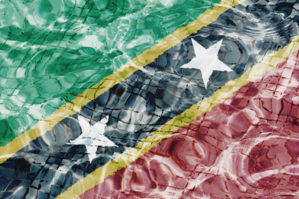 istock Federation of Saint Kitts and Nevis flag 1021583390