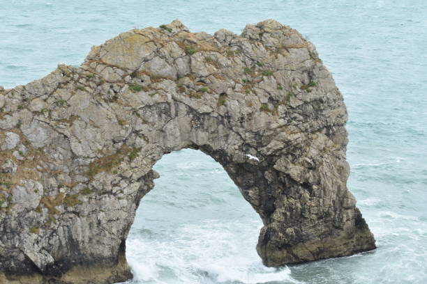 두들 문에 도싯 - coastline dorset footpath durdle door 뉴스 사진 이미지