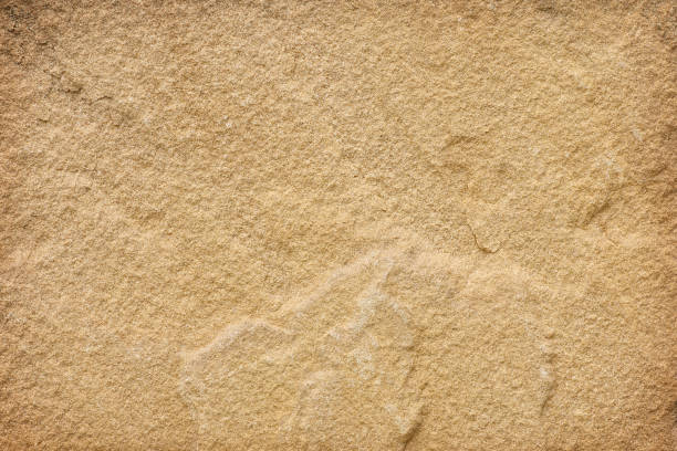 istock Details of sandstone texture and background 1021586444