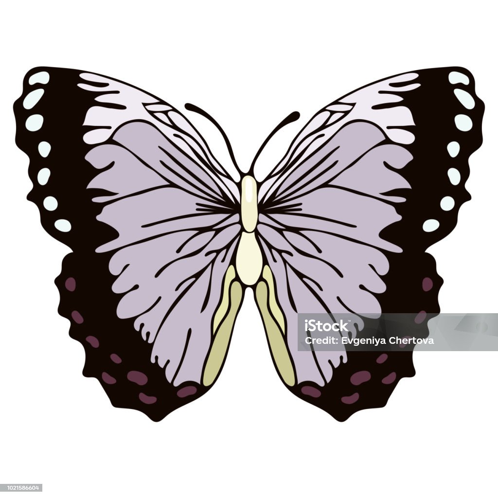 Butterfly Cartoon Drawing Vector Illustration Stock Illustration - Download  Image Now - Above, Abstract, Animal - iStock