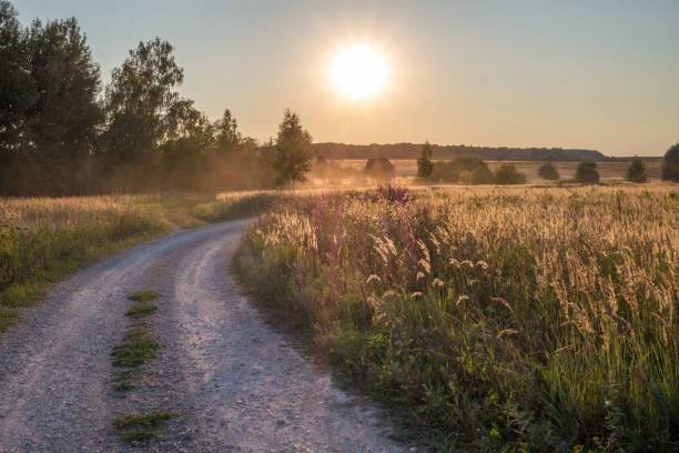 istock Country road 1021593888
