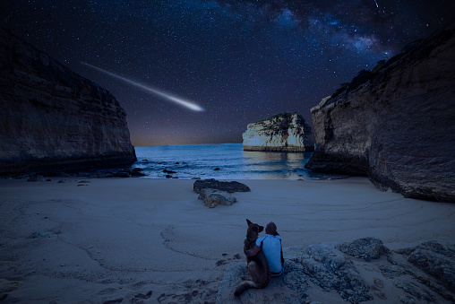 Man with dog looking at Milky Way on the beach