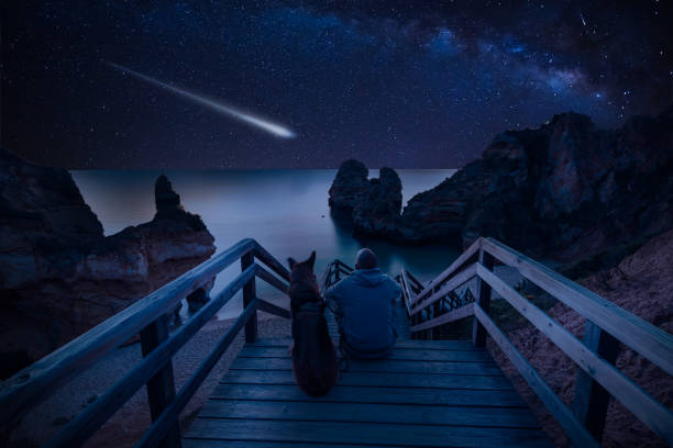 istock Man with dog looking at Milky Way on the beach 1021600414