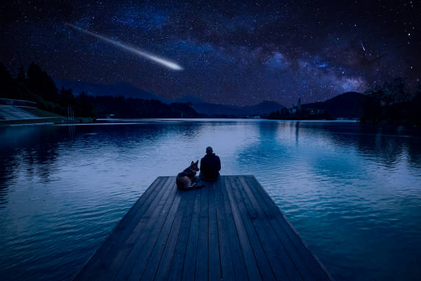 Man with dog looking at Perseids Meteor Shower at lake Bled Man with dog looking at Perseids Meteor Shower at lake Bled meteor shower stock pictures, royalty-free photos & images