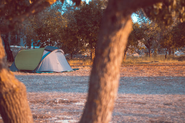 istock camping tent in the wood 1021608692