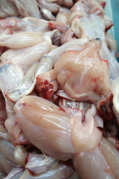 istock Frog meat for sale 1021614984