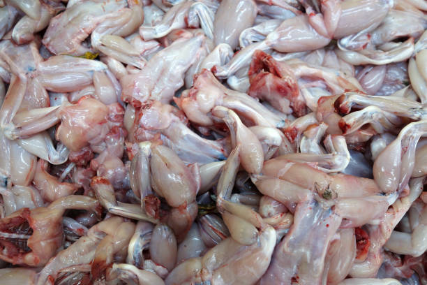 istock Frog meat for sale 1021615028