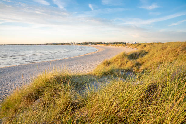 plaża sola poza stavanger, norwegia - norwegian culture zdjęcia i obrazy z banku zdjęć