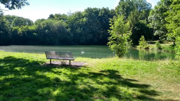 istock Scenic summer swan lake park 1021632578