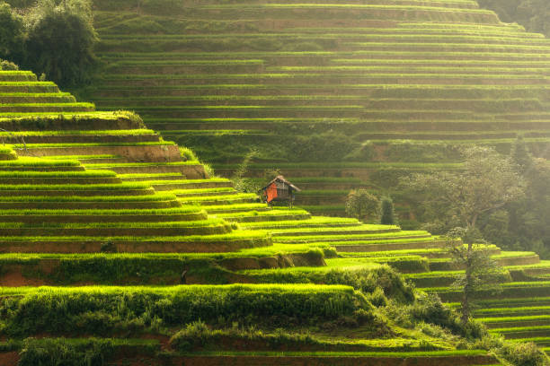 istock House in La pan tam 1021638040