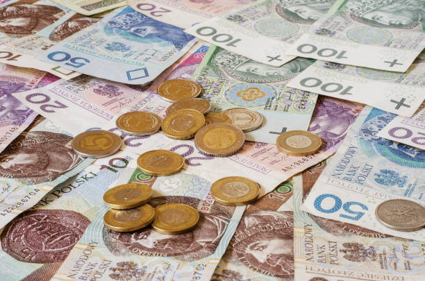 istock Polish zloty of different denominations 2 1021638322