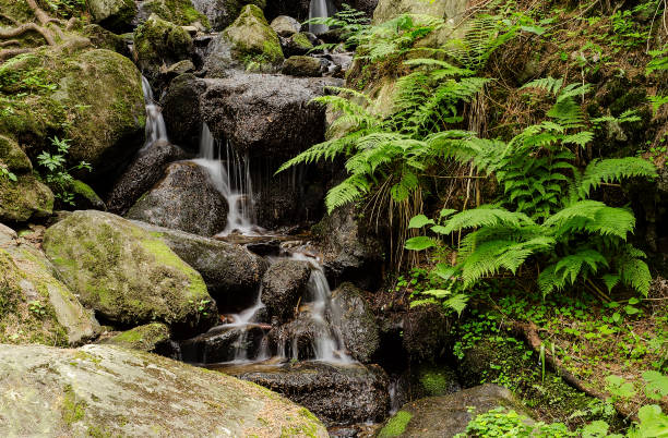 istock waterfall on a mountain river in the forest 10 1021641616