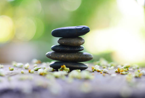 istock Balance zen stones put on fallen corolla with green natural background middle position. 1021644926