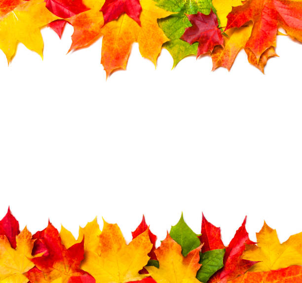 istock Autumn frame composition made of autumn leaves on white background with Copy space.  Flat lay, top view