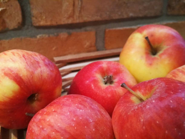 istock Ripe red apples on table close up, on brick wall background 1021656418