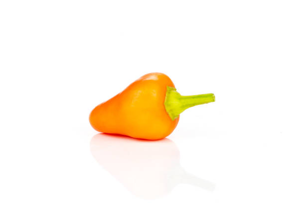 istock Hot red orange chili pepper isolated on white 1021661376