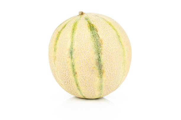 istock Fresh melon cantaloupe isolated on white 1021662046