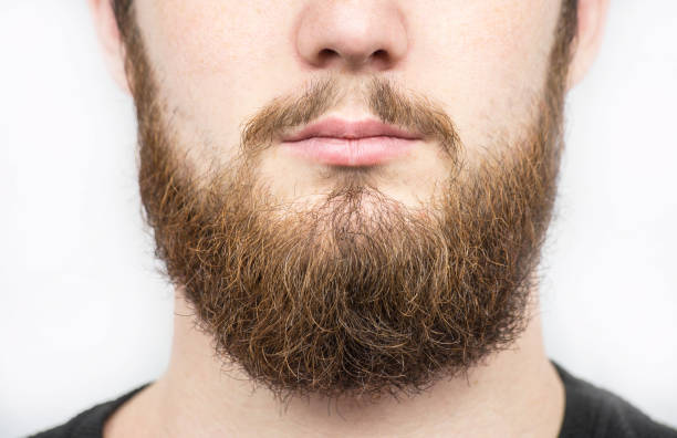 istock Solid man with beard and mustache. Closeup portrait of athletic bearded man. Handsome stylish bearded man. Sexy male, macho, long beard. Attractive caucasian bearded hipster. 1021674934