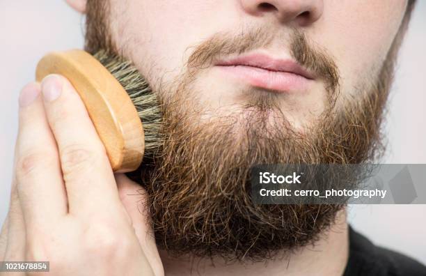 Hand Von Friseur Bürsten Bart Barbershop Kunde Vorderansicht Bart Pflege Tipps Für Anfänger Stockfoto und mehr Bilder von Vollbart