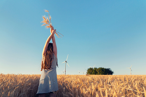 Young girl is holding a cereals bouquet infront of wind turbines
