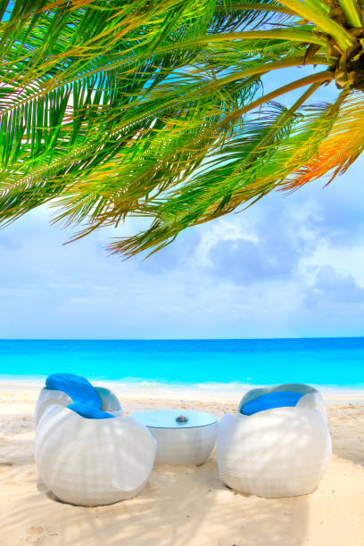 Seating under a palm tree in front of turquoise ocean